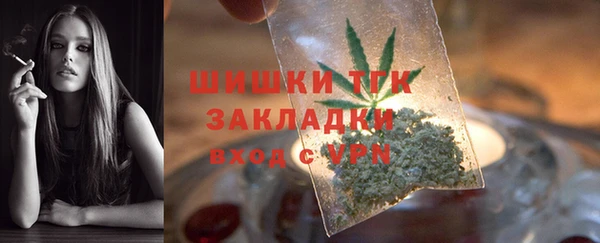 индика Сафоново