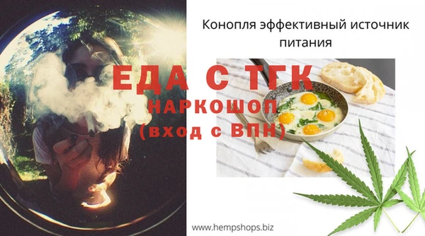индика Сафоново
