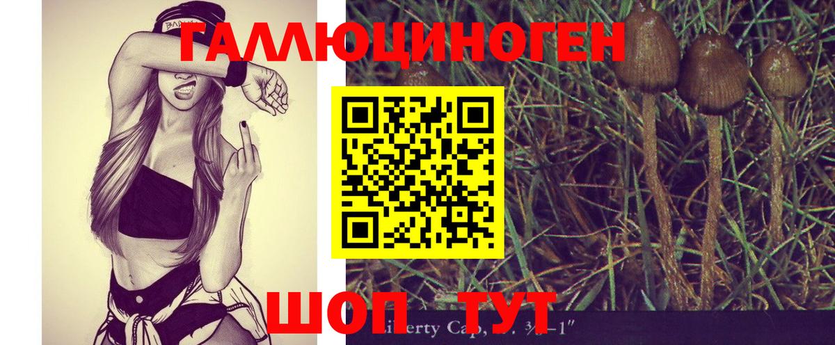Галлюциногенные грибы Cubensis Ахтубинск