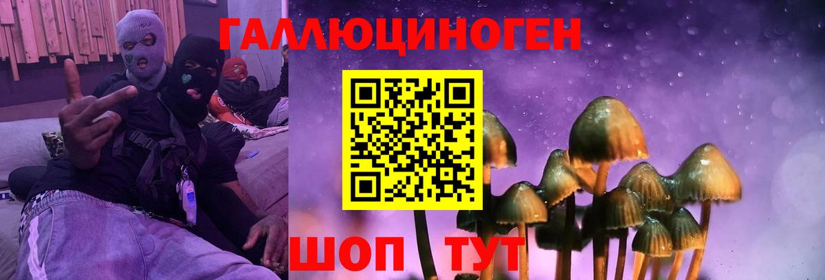 Ахтубинск  Галлюциногенные грибы ЛСД  Галлюциногенные грибы Magic Shrooms  Вход с VPN 